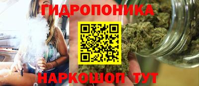 твердый Гусев