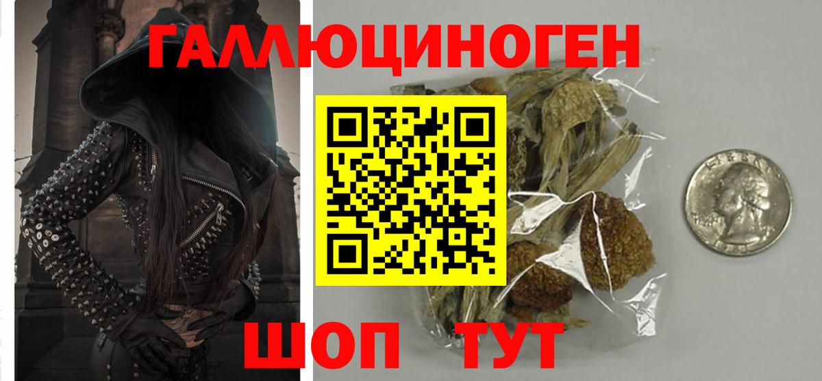 Псилоцибиновые грибы MAGIC MUSHROOMS  Псилоцибиновые грибы Psilocybe  Вход с VPN  Избербаш 